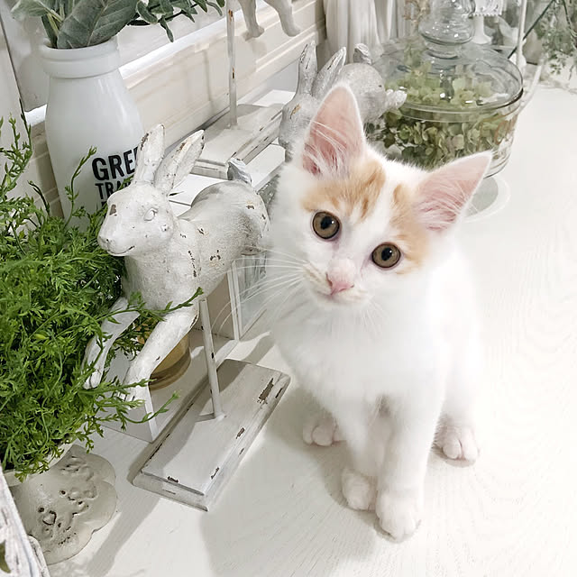yuchiさんの実例写真