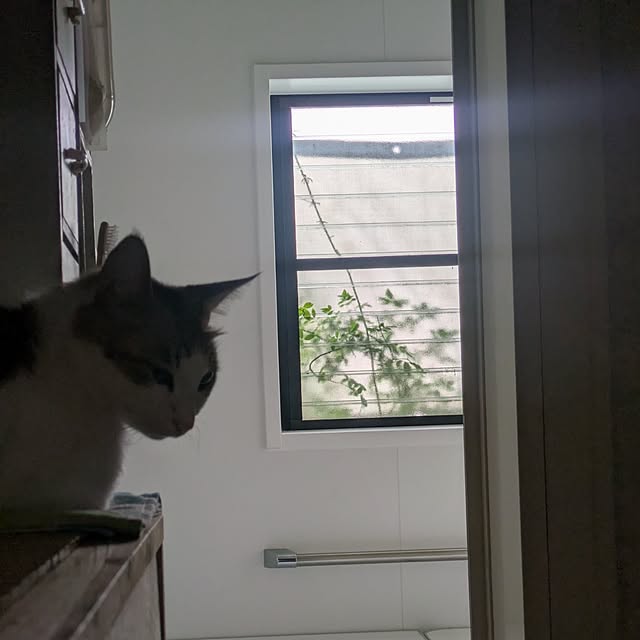 mori_6_12さんの部屋