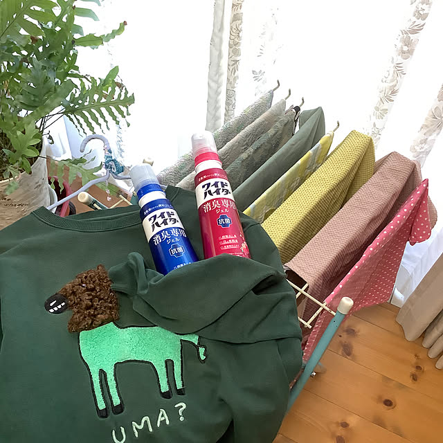naive.coccoさんの実例写真