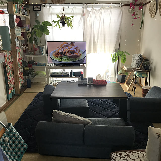 ariceさんの実例写真