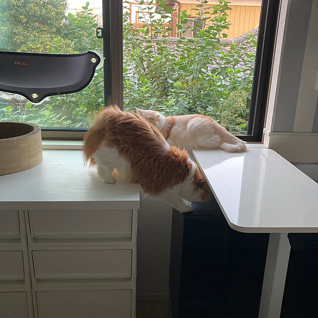 H.Tさんの部屋