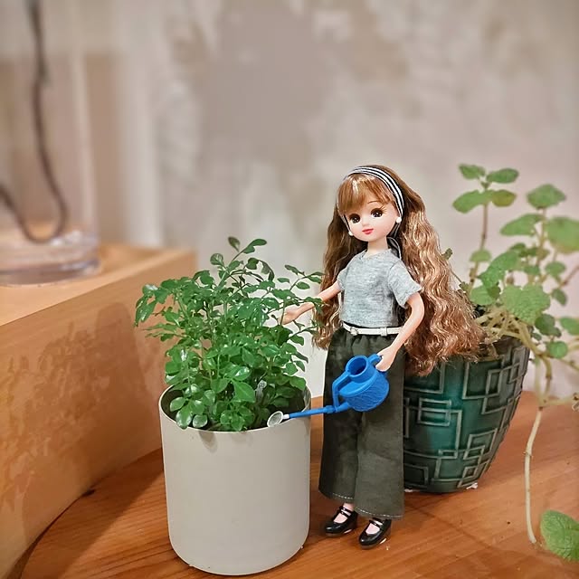 Haさんの部屋