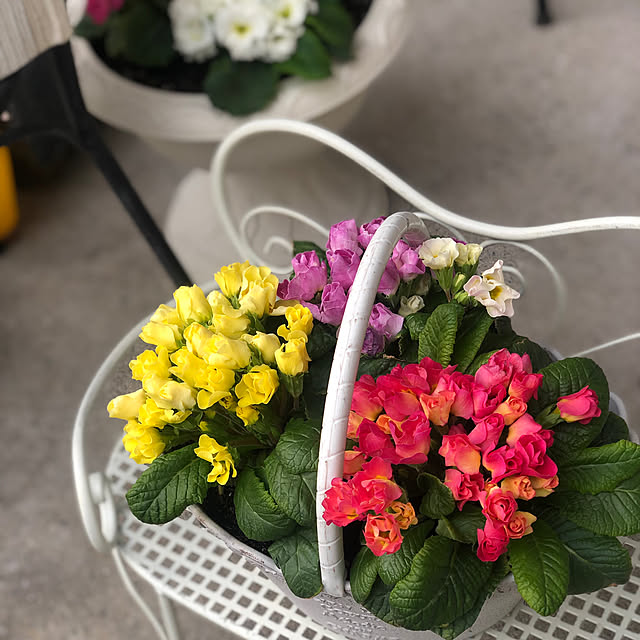 cocoさんの部屋