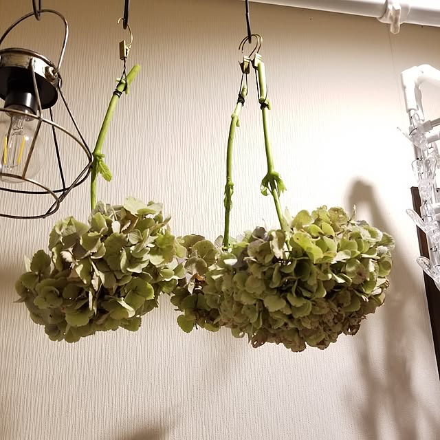 midoriさんの部屋
