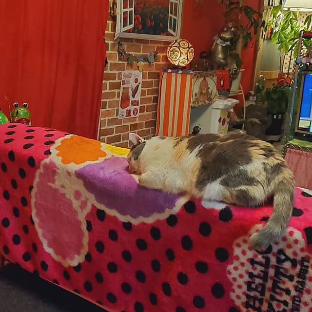 kumutanさんの部屋