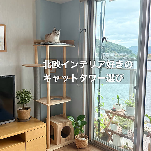 amさんの実例写真