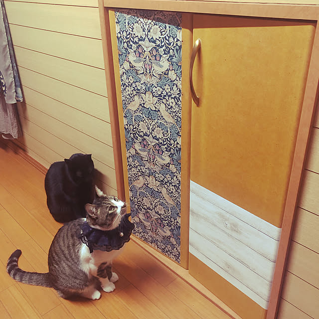 jijiさんの実例写真