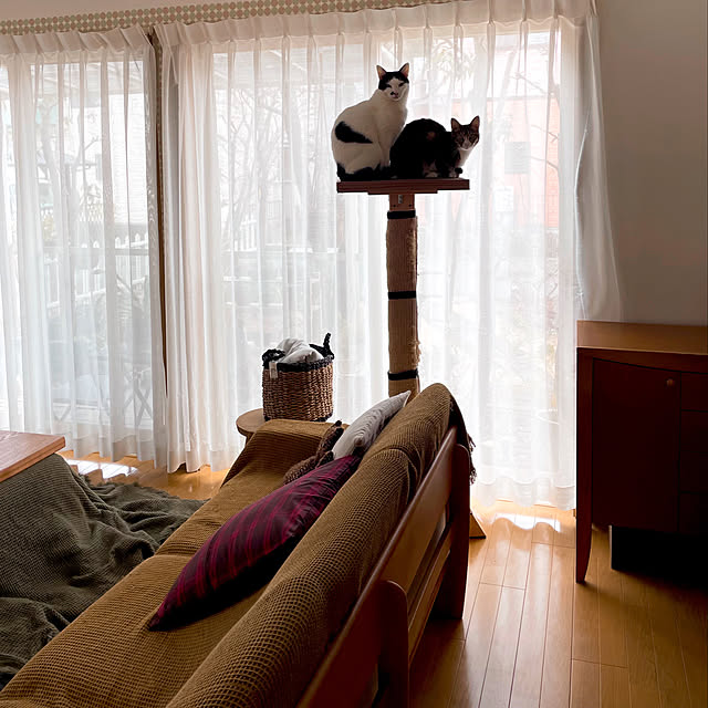 nobikoさんの実例写真