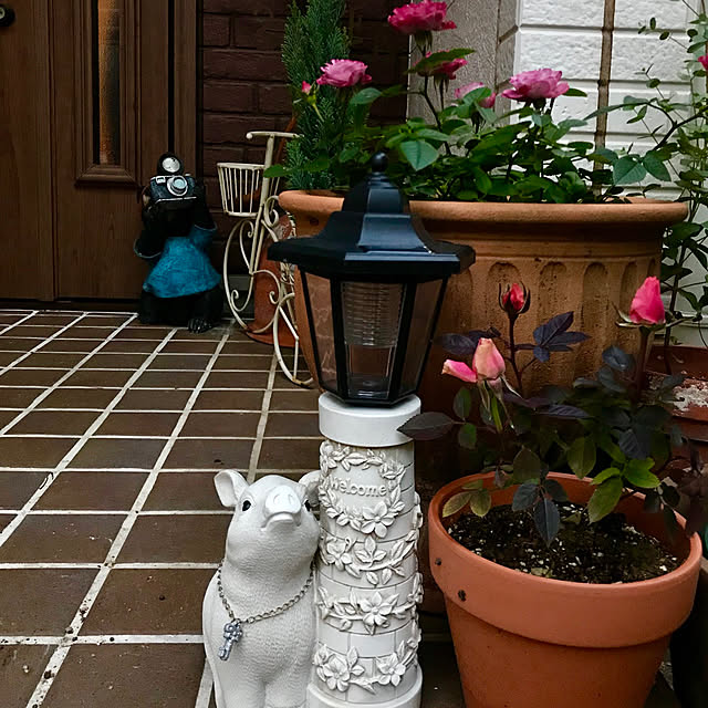 butachanさんの実例写真