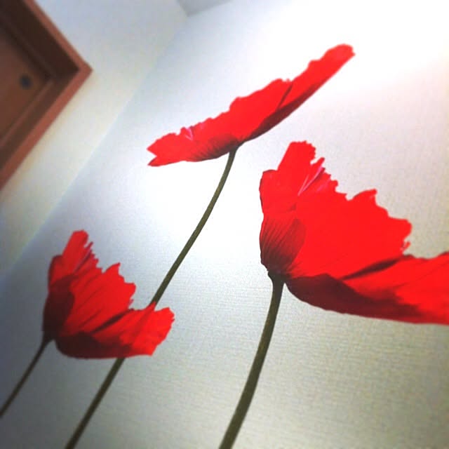 papikoさんの実例写真