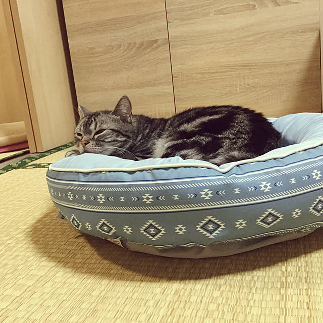 richanさんの実例写真