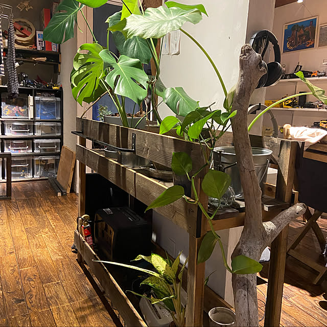 DIY/観葉植物/棚のインテリア実例 - 2022-04-23 20:00:09