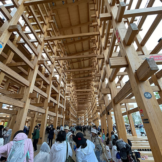 部屋全体/外観/木の家/木製サッシ/景観...などのインテリア実例 - 2025-06-07 07:03:12