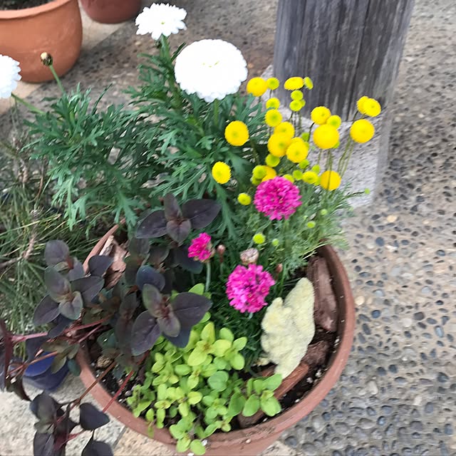 sorako330さんの実例写真