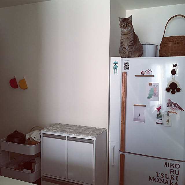 mikomaruさんの実例写真