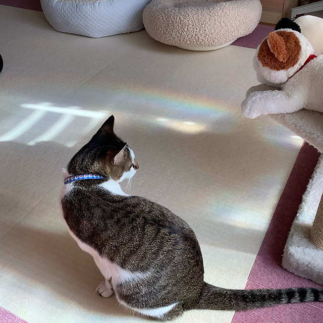 haruminさんの実例写真