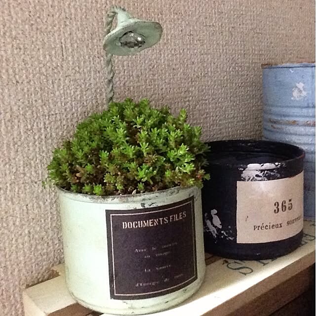 geshikoさんの実例写真