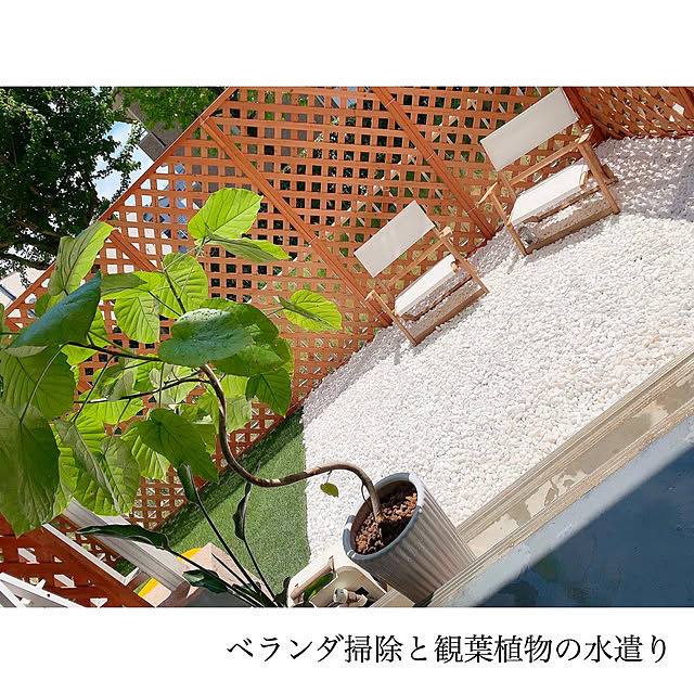 chaluさんの実例写真