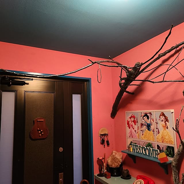 shuさんの実例写真