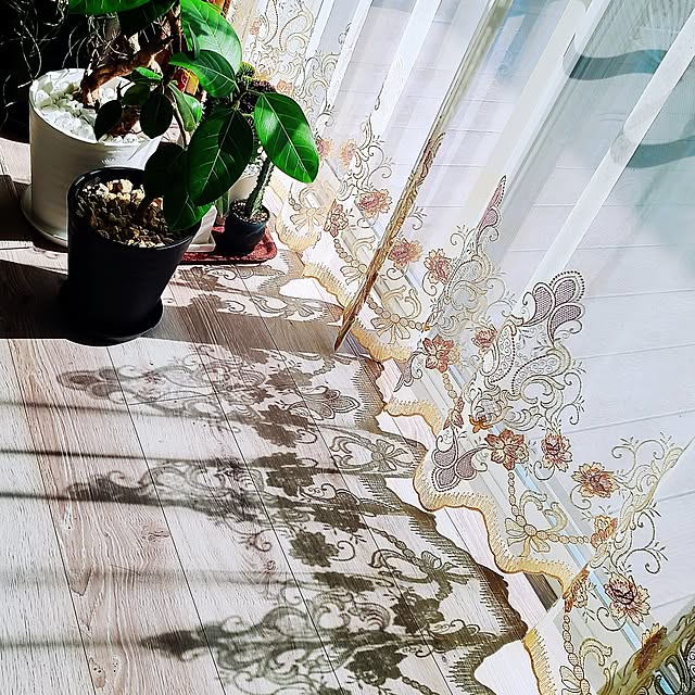 r0siereさんの実例写真