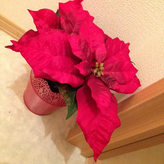 juriさんの実例写真