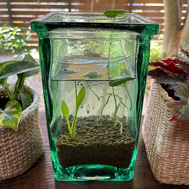 kuuさんの部屋