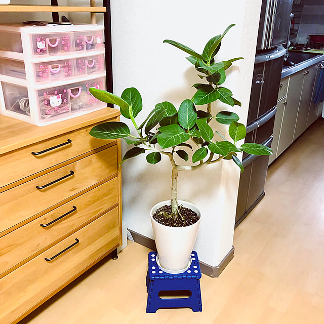 hanachanさんの部屋