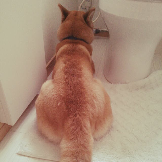 kotaさんの実例写真