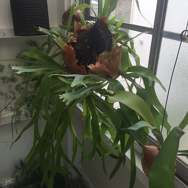 Hiroさんの実例写真