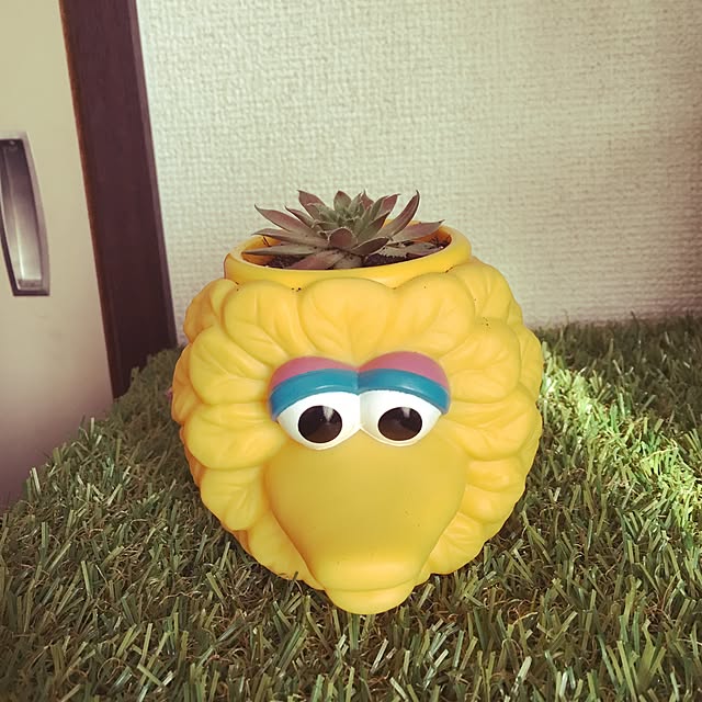 emiさんの実例写真