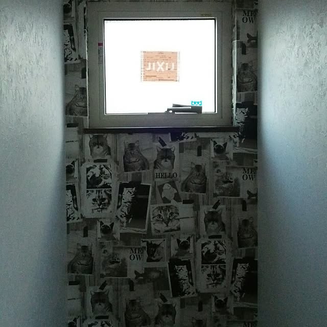 mi-sanさんの実例写真