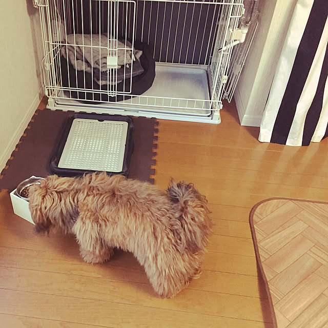 sasacchiさんの実例写真