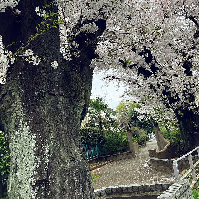 実例写真