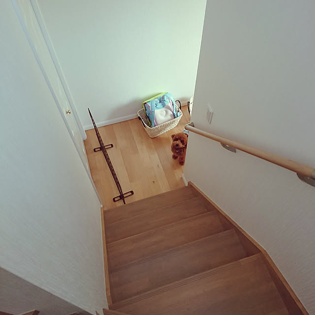 Saeさんの実例写真
