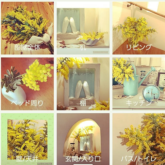 ANTENNAさんの実例写真