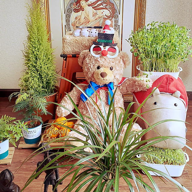 takayasuさんの実例写真