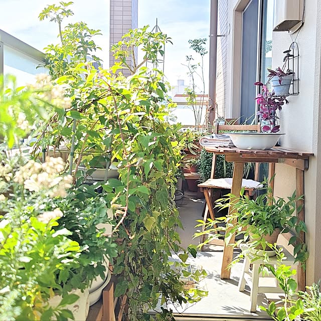 YuriYuriさんの部屋