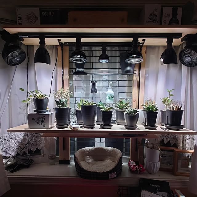 tropical_happy_lifeさんの実例写真