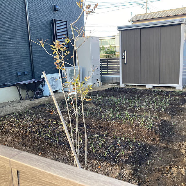 ma.さんの実例写真