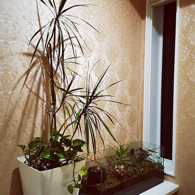 39さんの実例写真