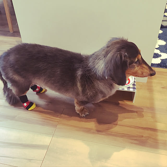 otsutaudonkoさんの実例写真