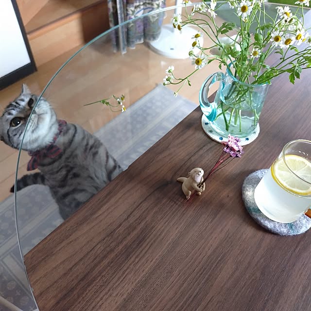 hiro3さんの部屋