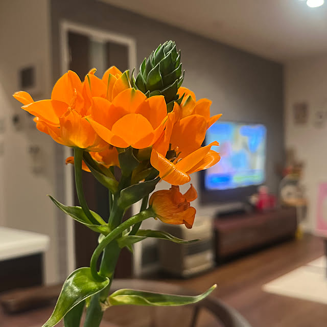 HomeSweetHomeさんの部屋