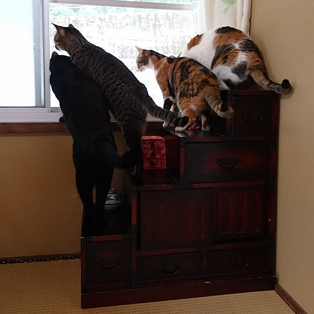 taleo07さんの実例写真