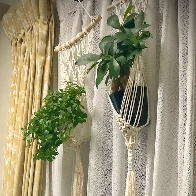REI015mさんの実例写真