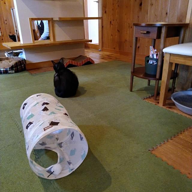 lilyさんの実例写真