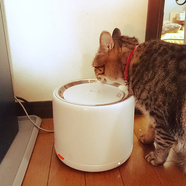 meguさんの実例写真