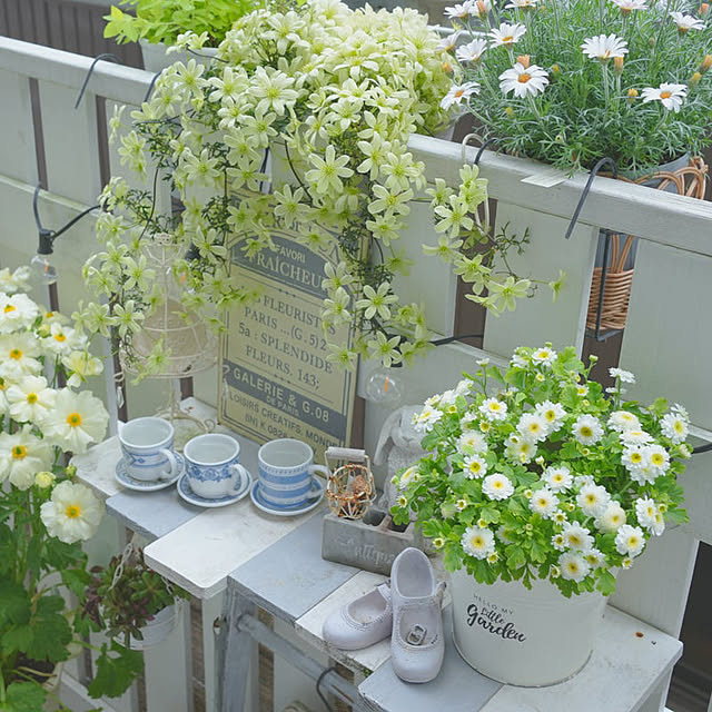 KNさんの実例写真