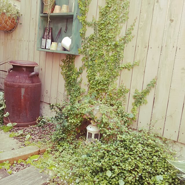 shinorenさんの実例写真