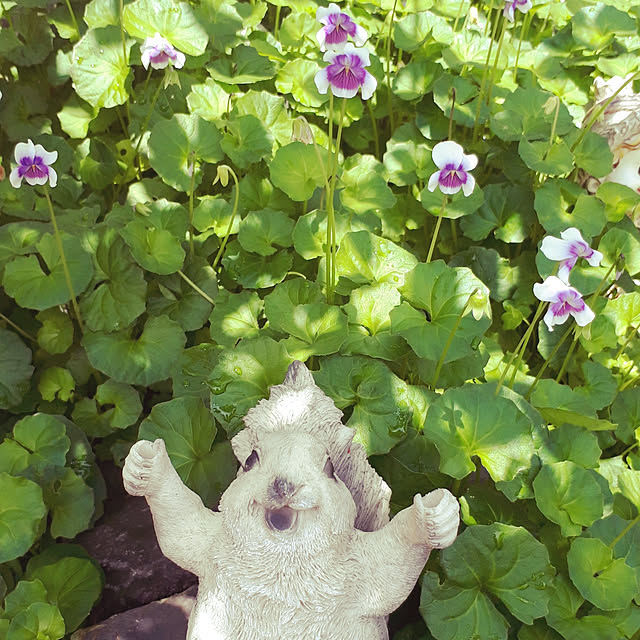 aiさんの実例写真